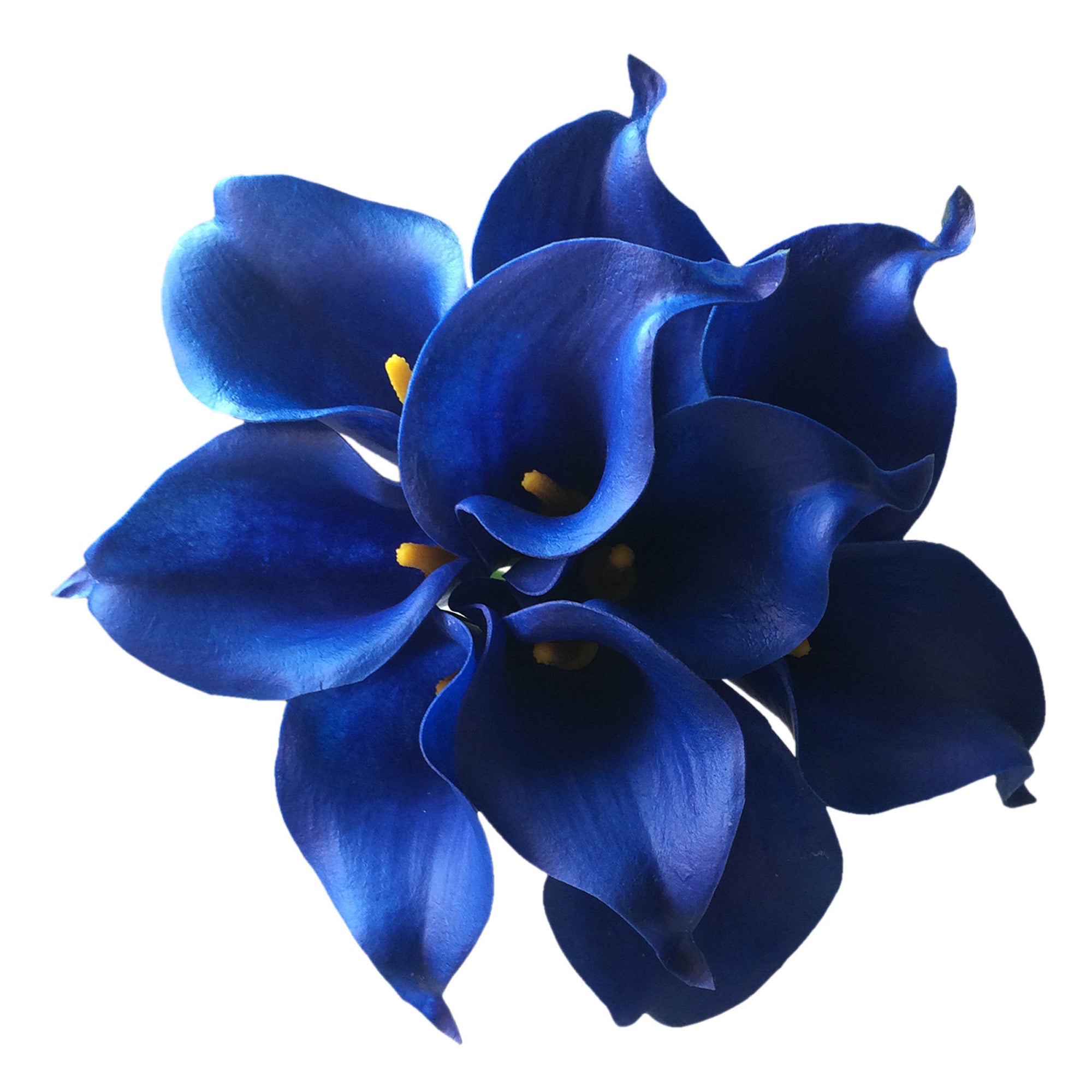 Royal Blue Calla Lily Bouquet Real Touch Flowers