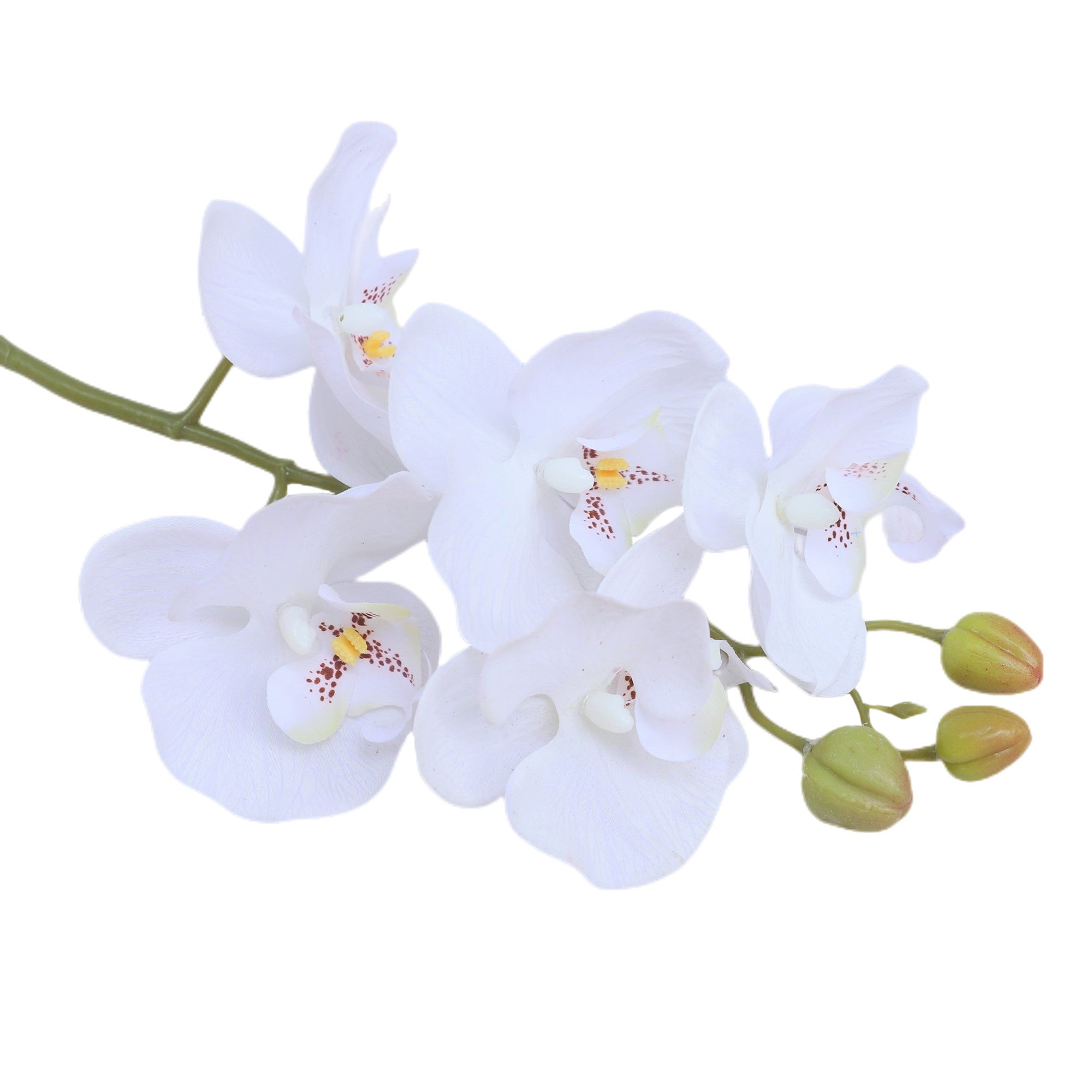 Real Touch Orchids Fake Phalaenopsis Flowers