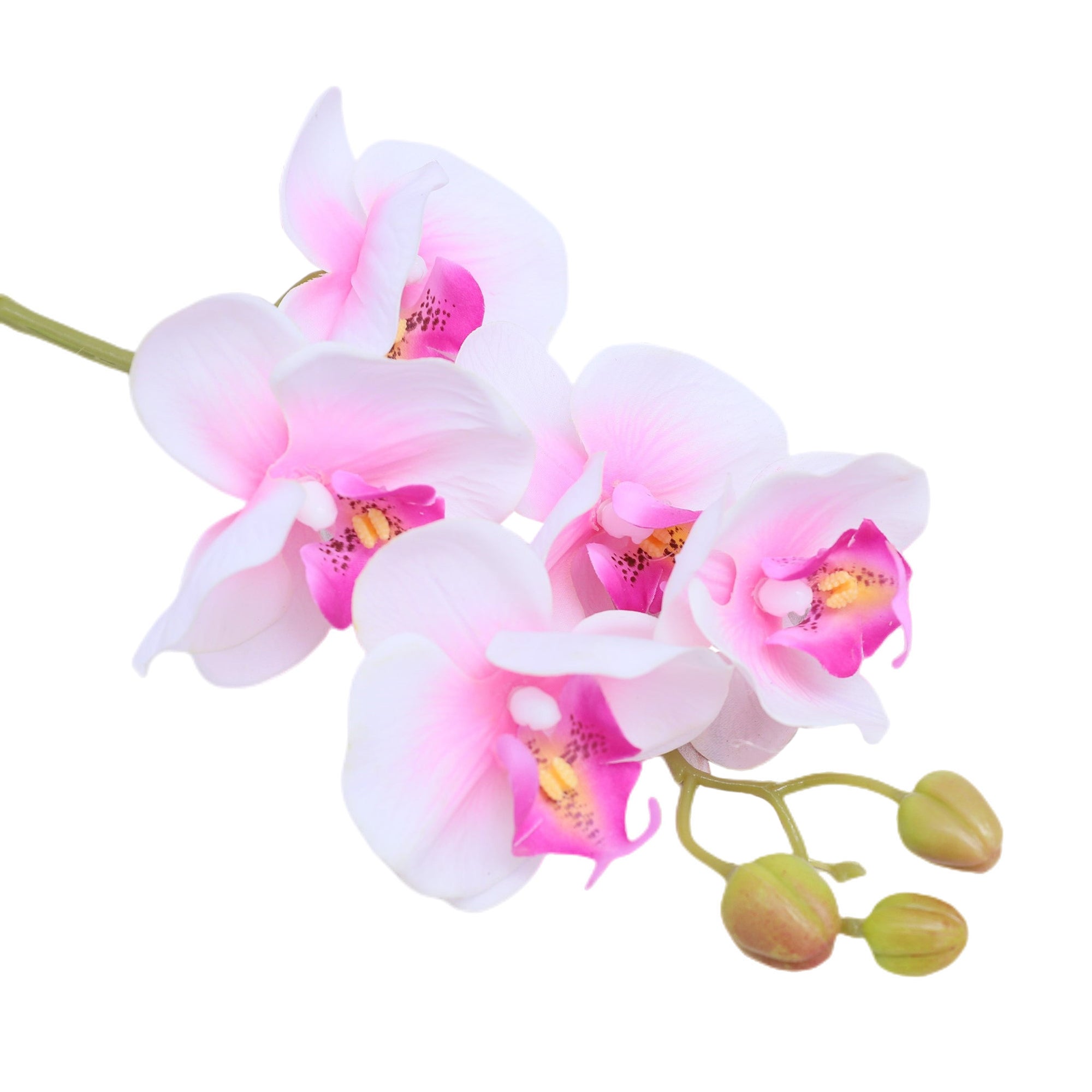 Real Touch Orchids Fake Phalaenopsis Flowers