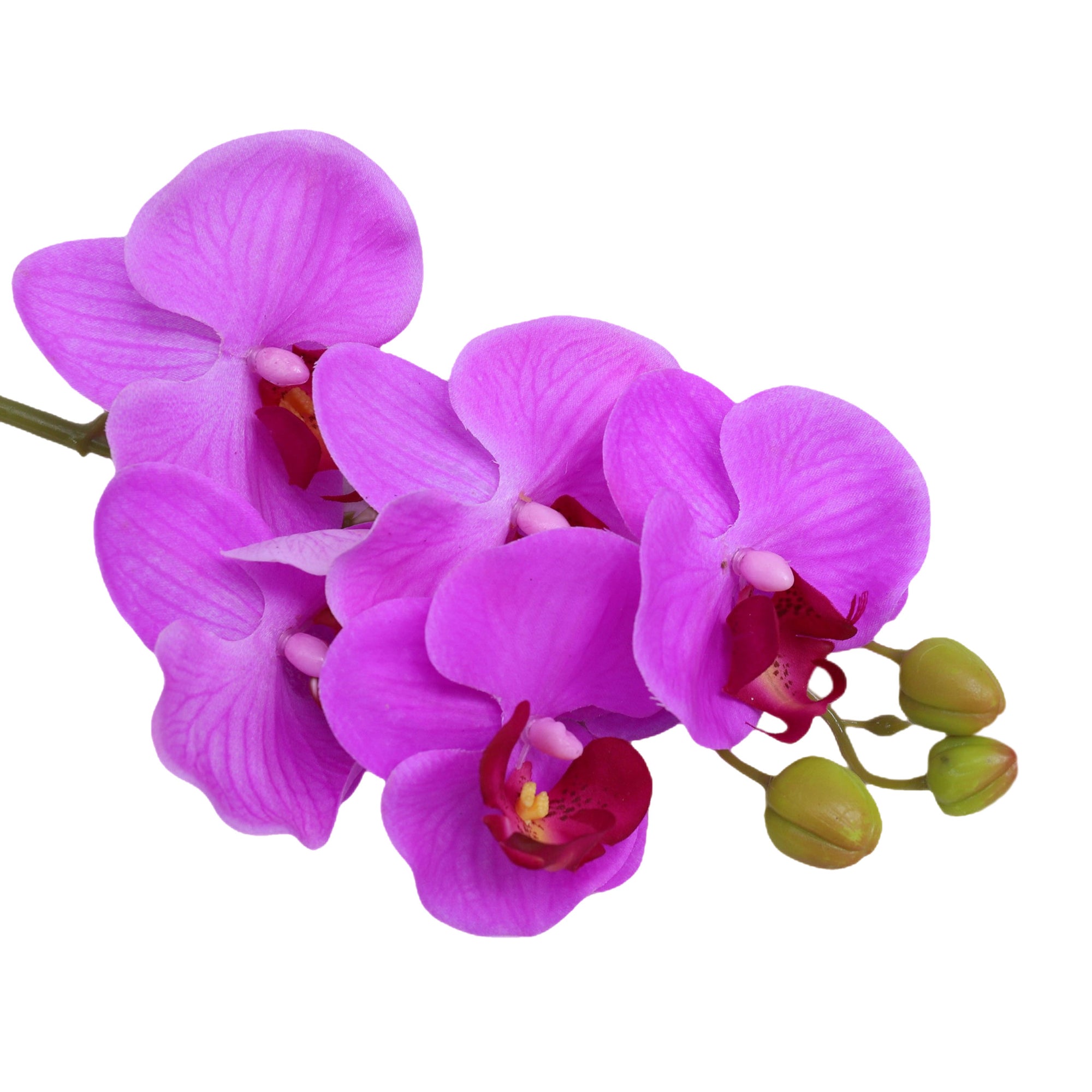 Real Touch Orchids Fake Phalaenopsis Flowers