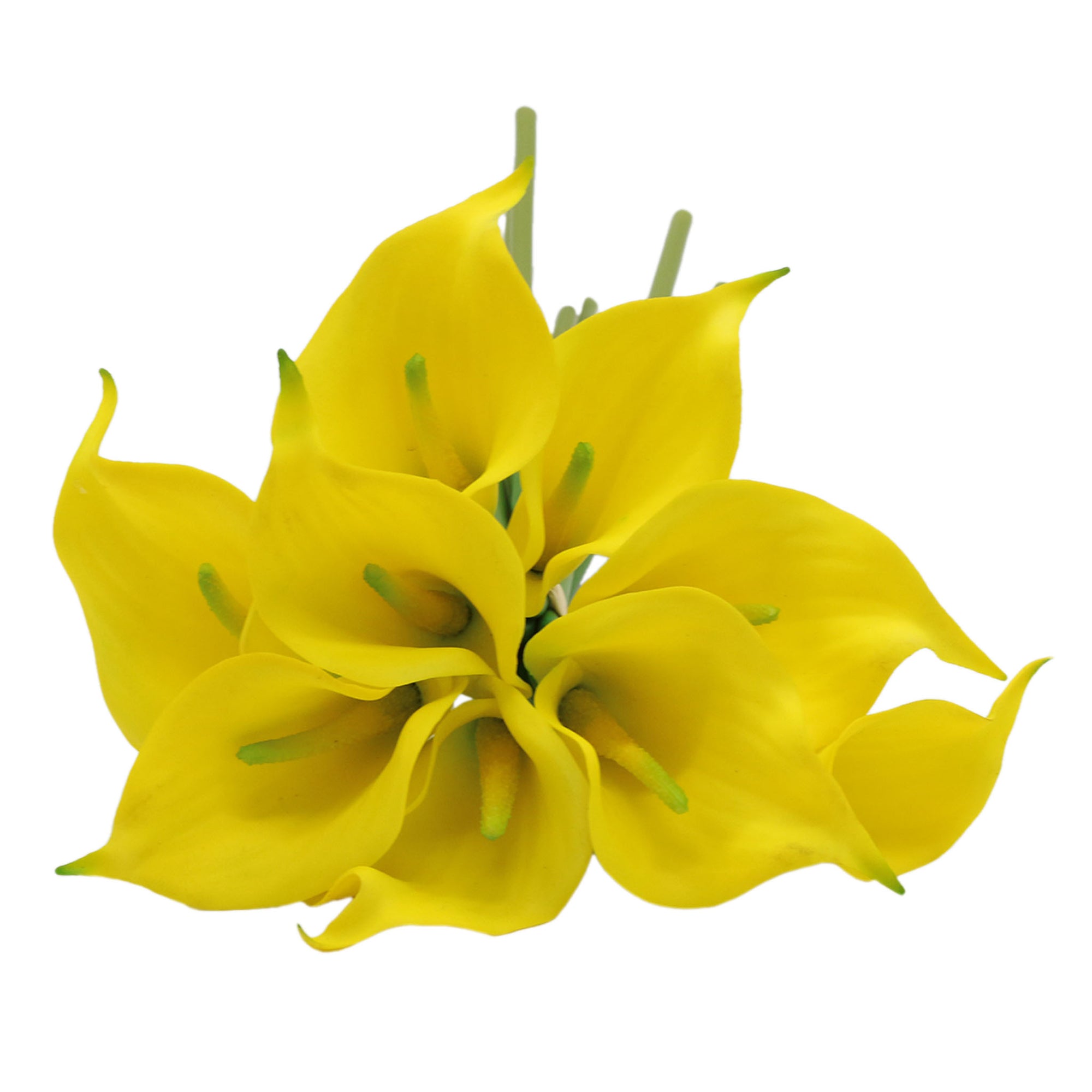 Lime Yellow Calla Lily Bouquet Yellow Calla Lilies Wedding Flowers