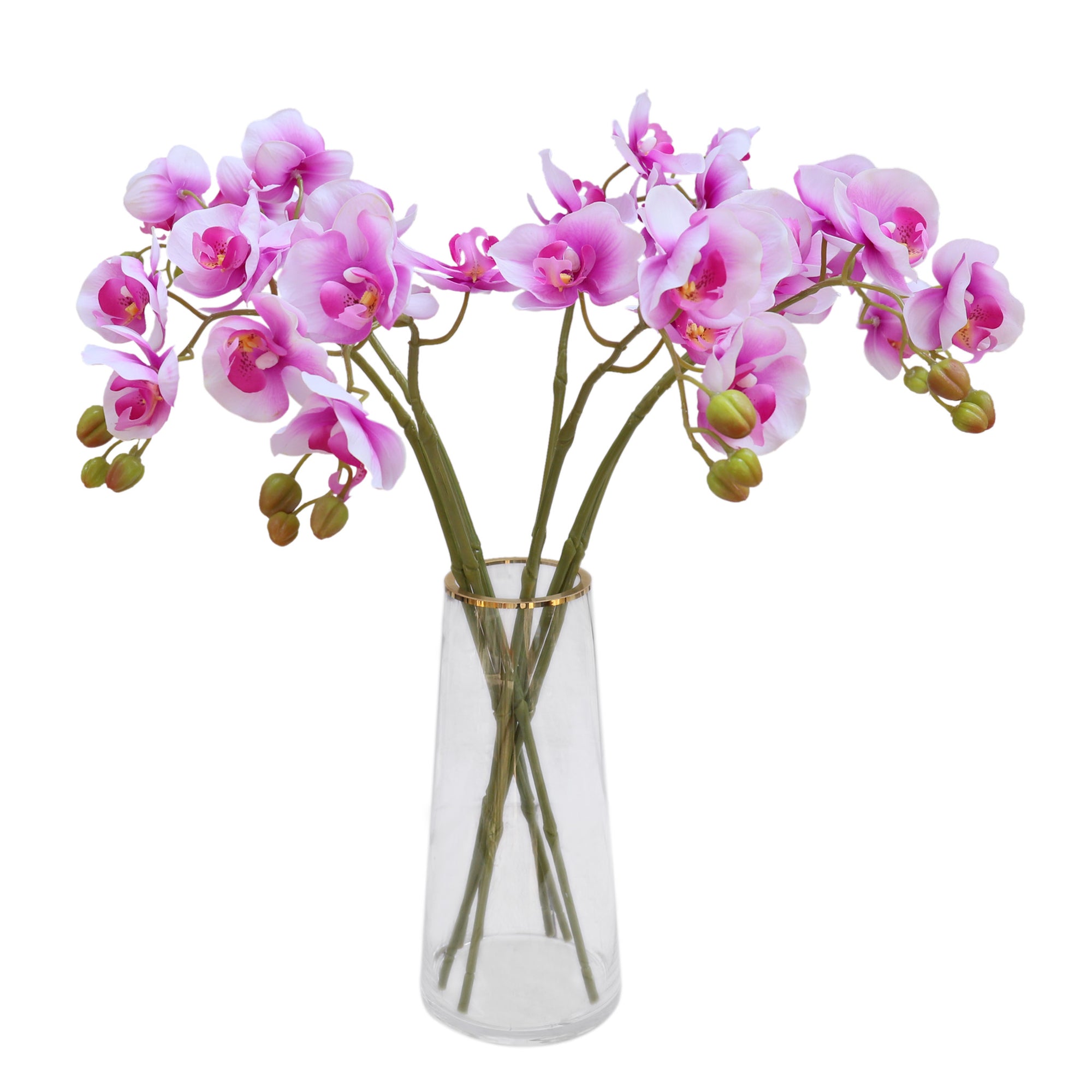 Real Touch Orchids Fake Phalaenopsis Flowers