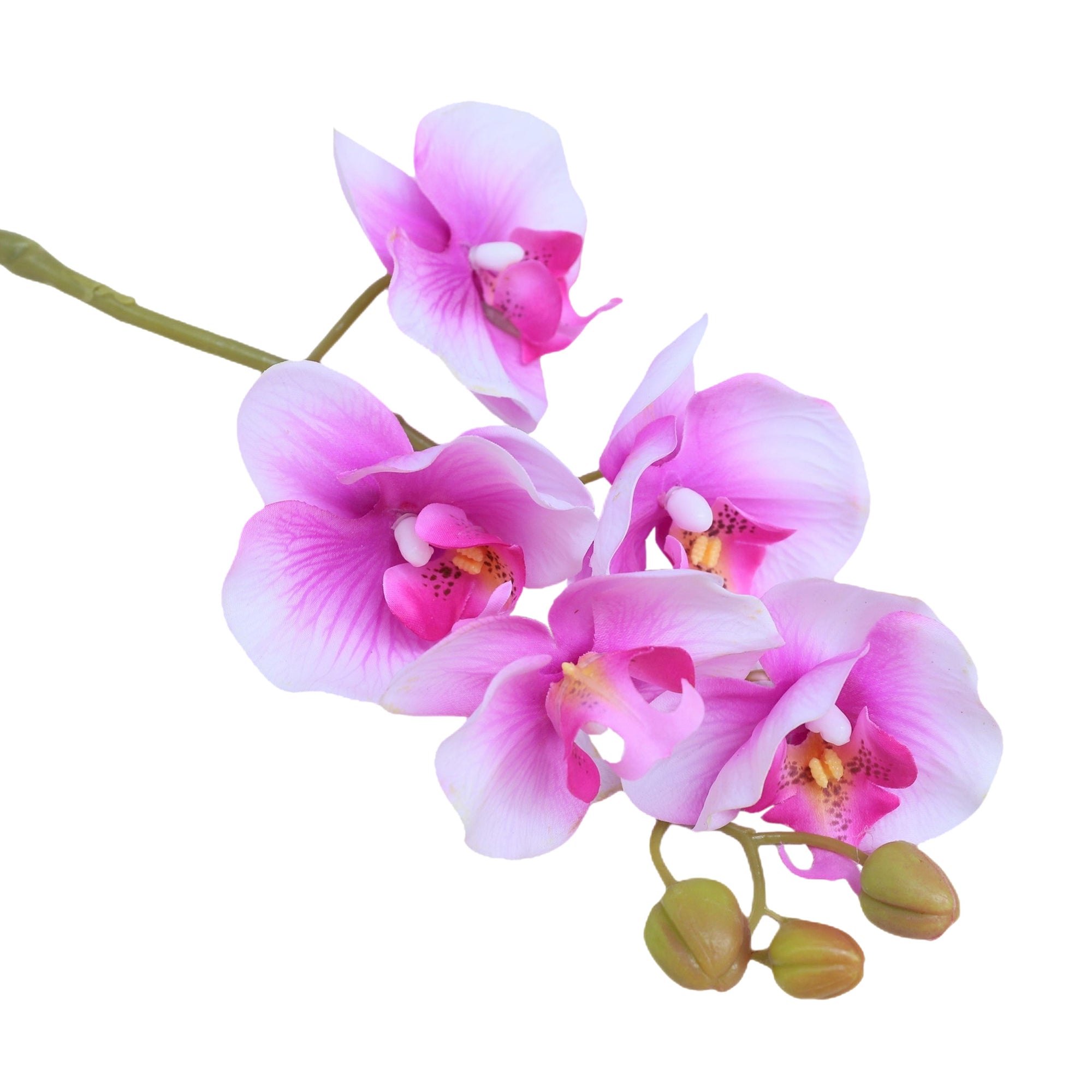 Real Touch Orchids Fake Phalaenopsis Flowers