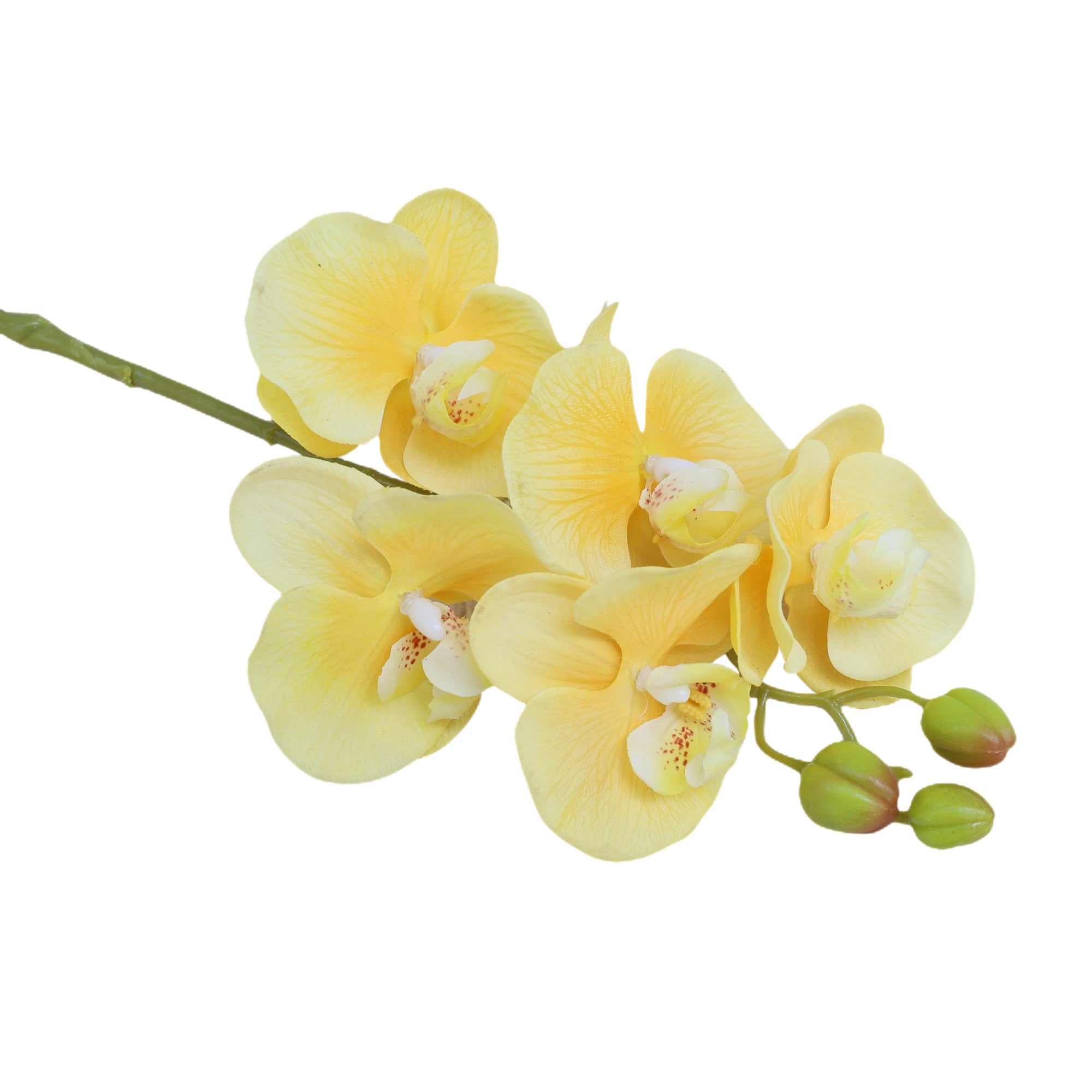 Real Touch Orchids Fake Phalaenopsis Flowers