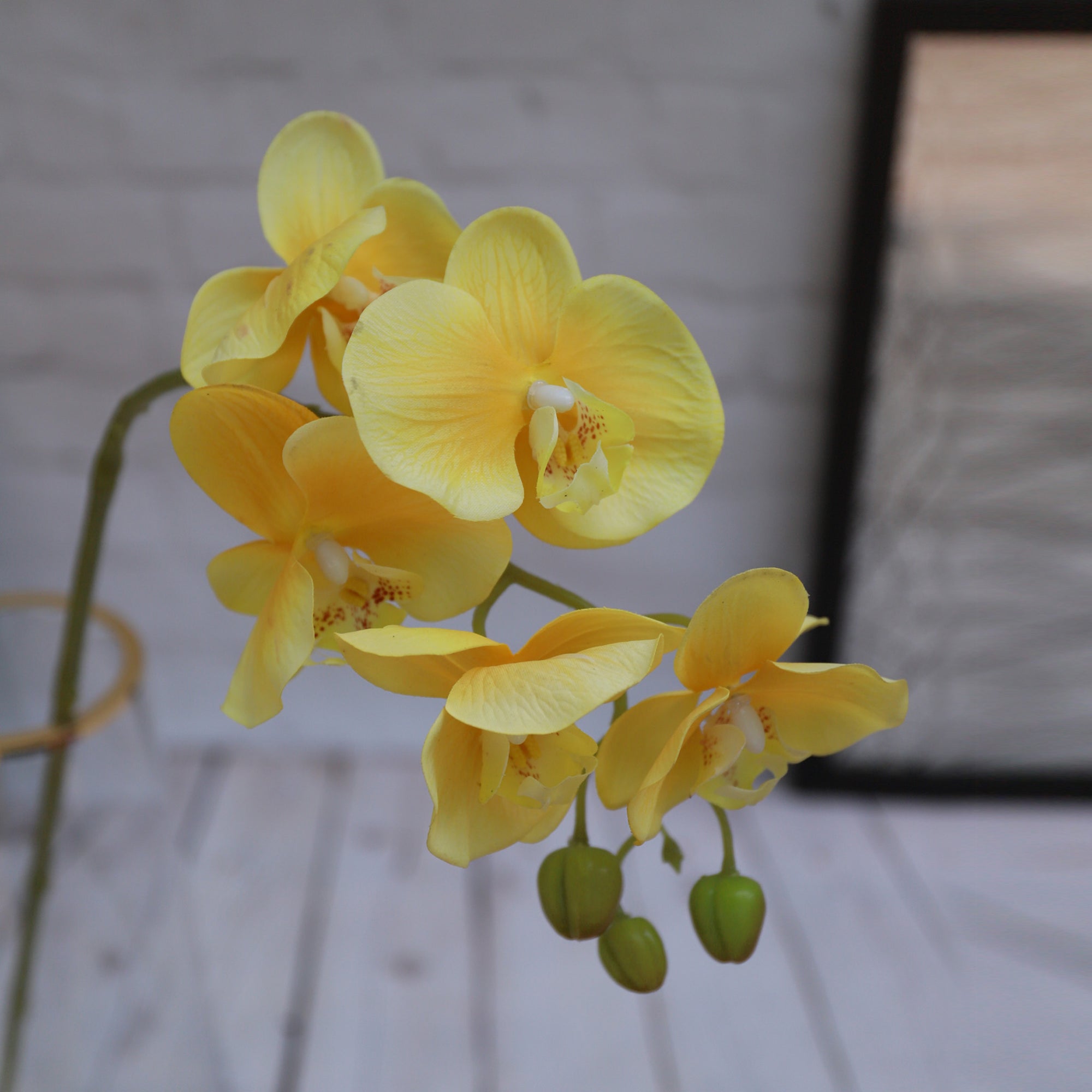 Real Touch Orchids Fake Phalaenopsis Flowers