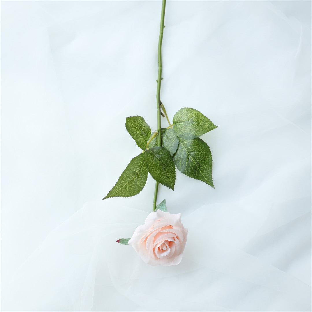 Pink Roes Real Realistic Blush Pink Roses Real Touch Flowers 10pcs - VANRINA