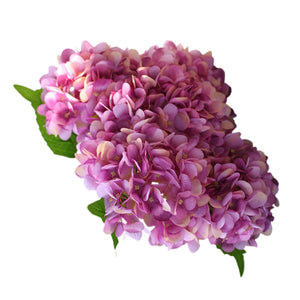 Fake Hydrangea Bush White Blue Teal Spa - VANRINA