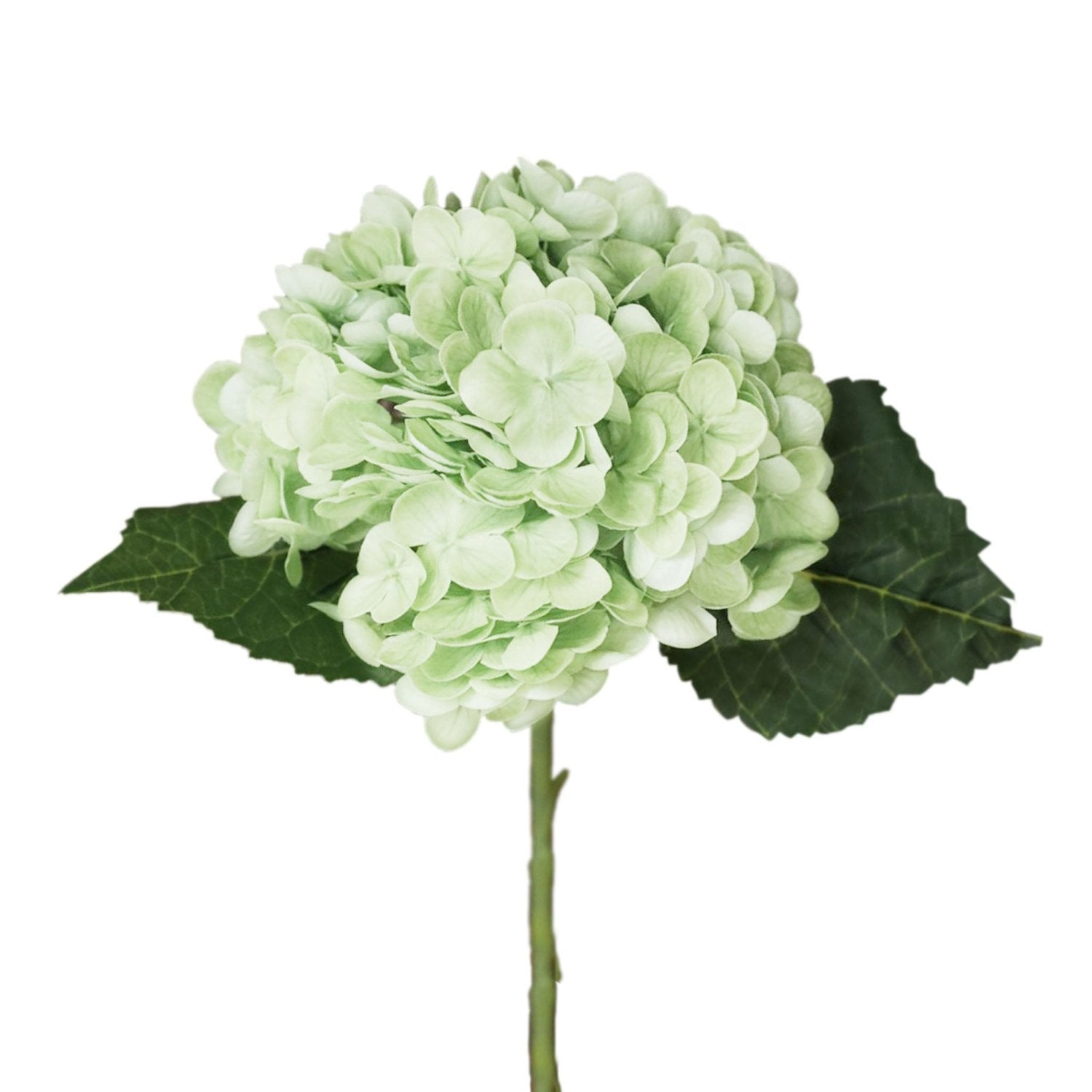 Green Hydrangea Fake Wedding Flowers - VANRINA