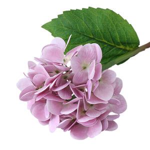 Small Blooms Fake Hydrangea Stem - VANRINA