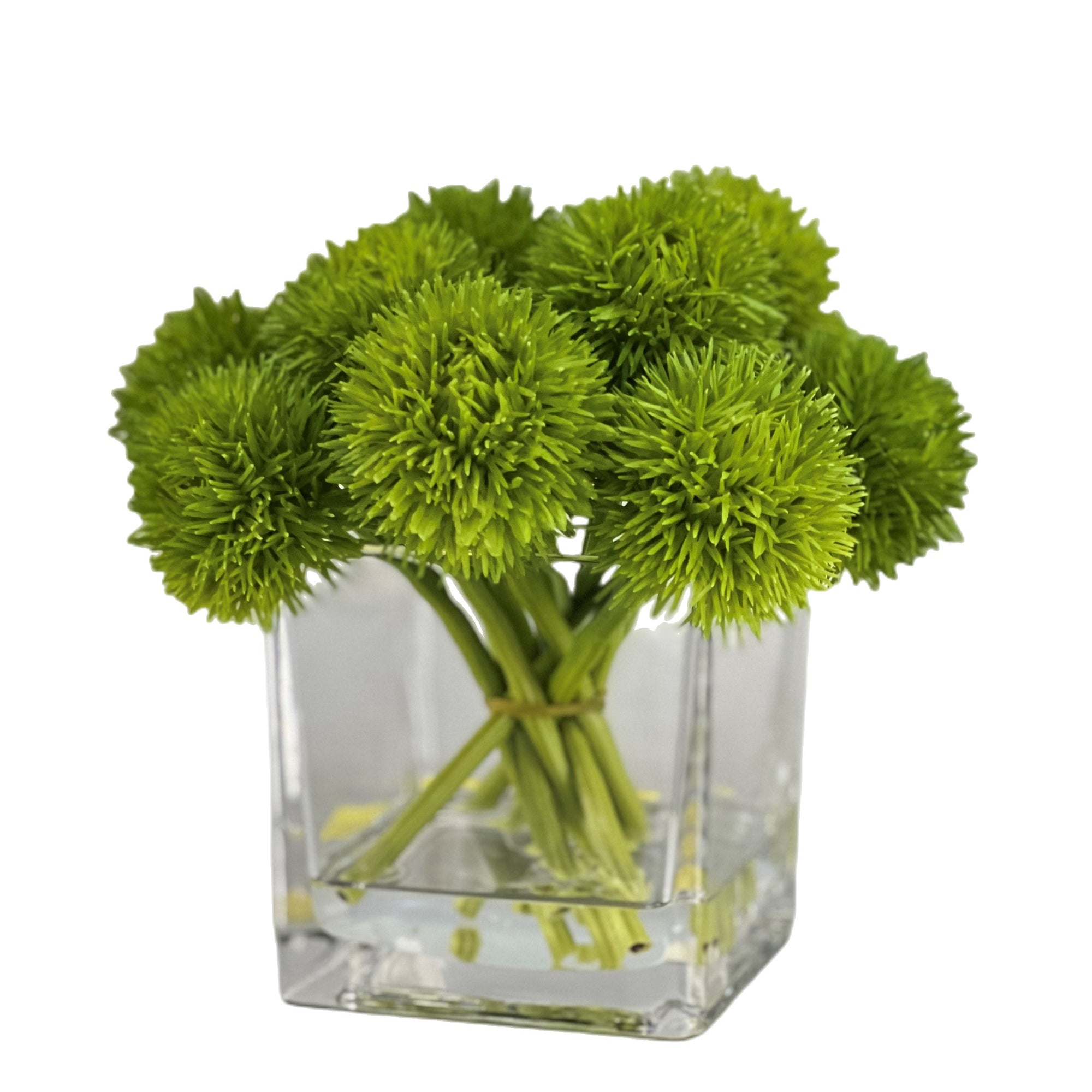 Green Alliums Modern Centerpiece