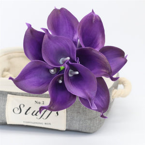 purple calla lily