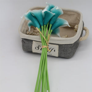 oasis calla lilies