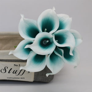 Picasso calla lily