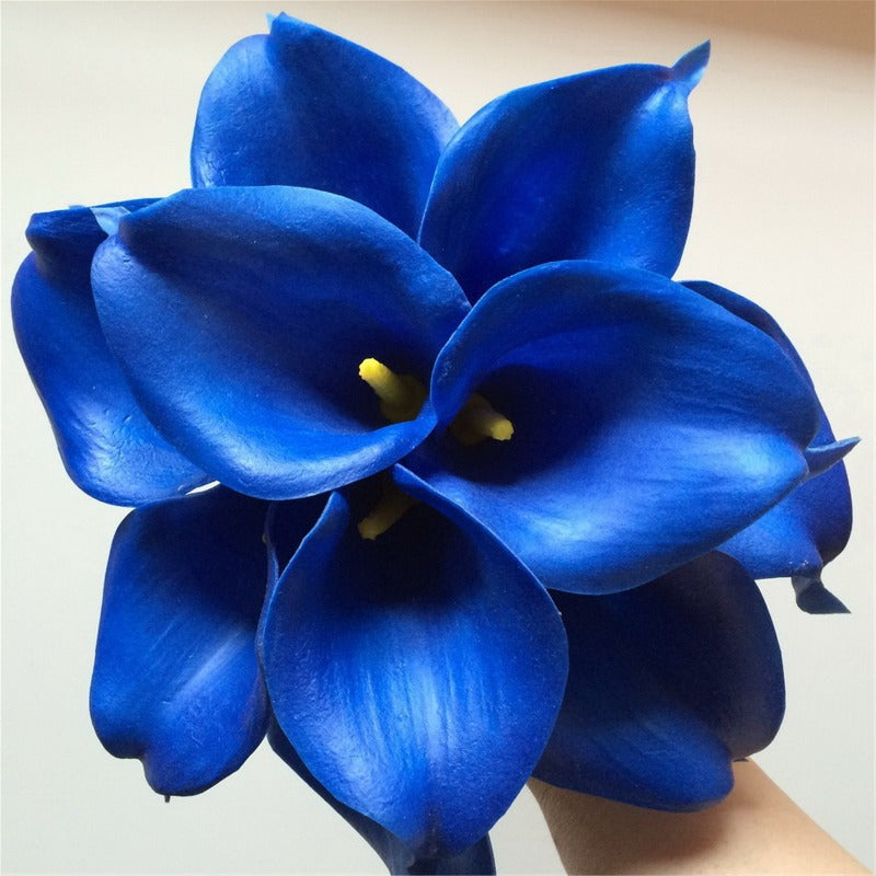 royal blue calla lily