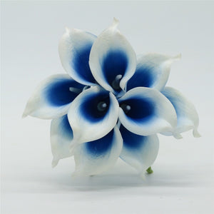 Picasso blue calla lily