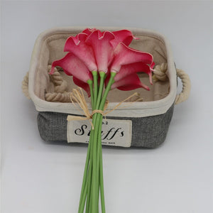 deep pink calla lily