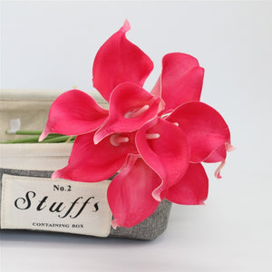 fuschia calla lily