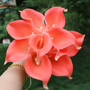 coral calla lily