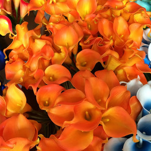 orange calla lily