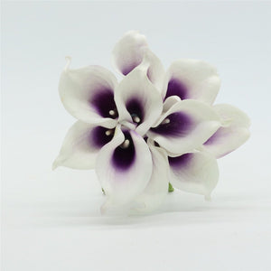 purple center calla lily