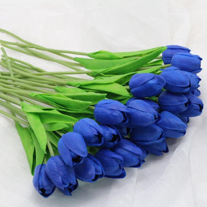 royal blue tulips