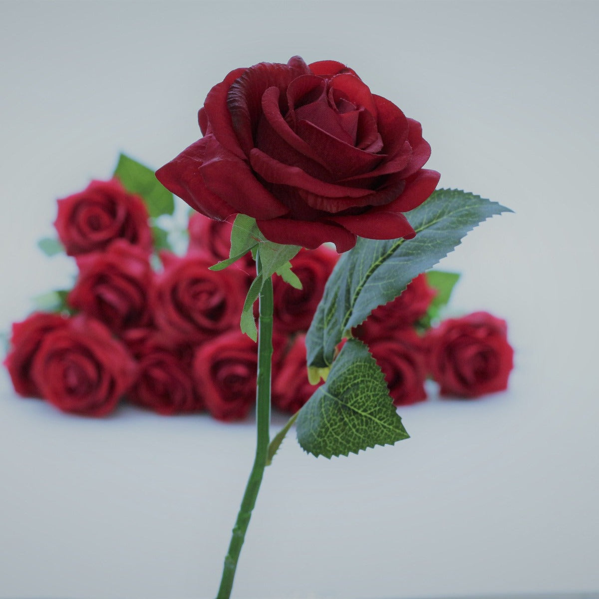 VANRINA Dark Red Roses Real Touch Flowers Burgundy 2