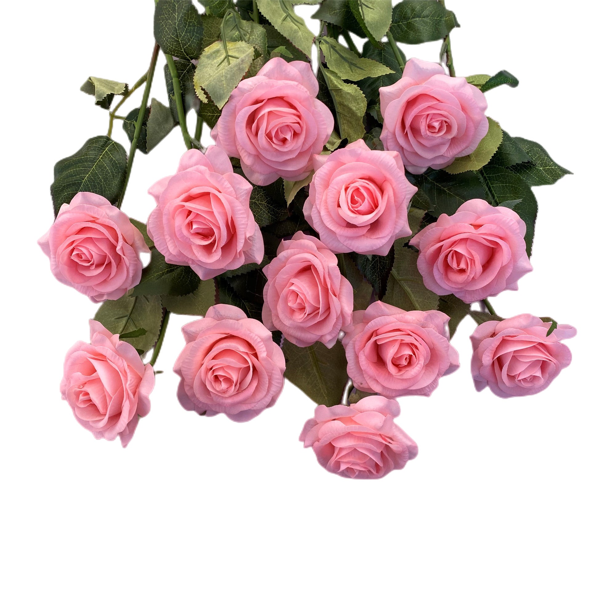 Pink Roses Element Real Real Touch Flowers Soft Pink Roses Bulk 50 Flowers - VANRINA