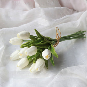 warm white tulip flowers