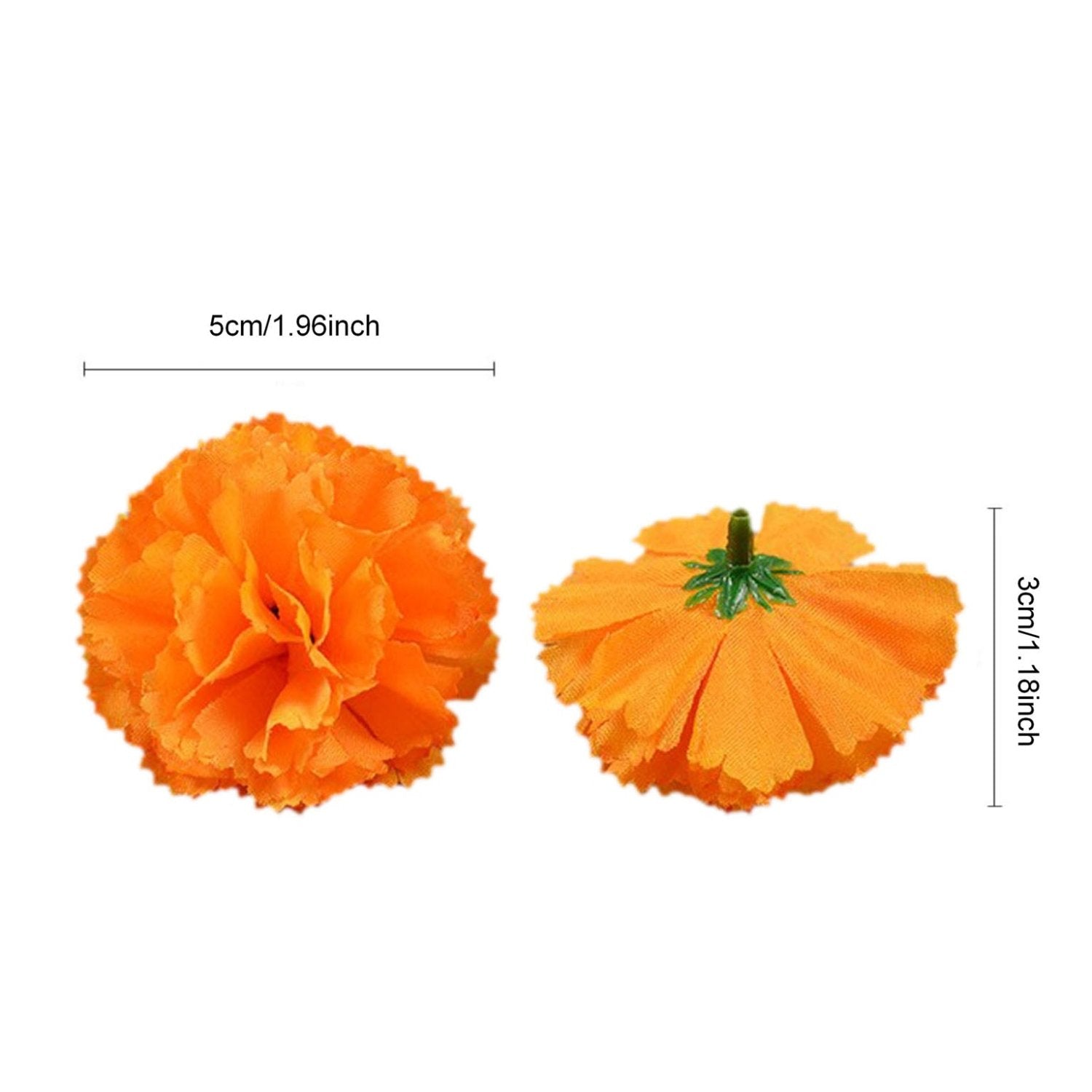 Wholesale Carnation in Bulk Wholesale 100 - VANRINA